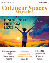 CoLinear Spaces Summer 2025 Cover